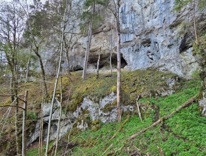 Burgruine Ziegelhöhlenburg, Germany